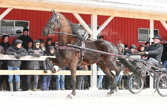 2022 Trillium Trotting Sale